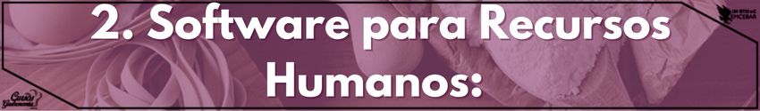 2. Recursos Humanos: 