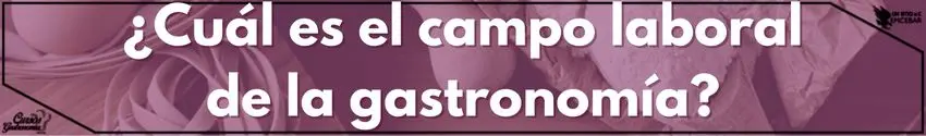 ¿Cuál es el campo laboral de la gastronomía?