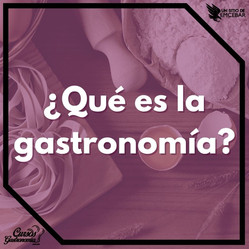 ¿Qué es gastronomía? Significado y para qué sirve