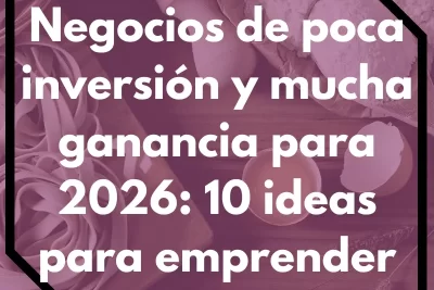 Negocios de poca inversión y mucha ganancia para 2026: 10 ideas para emprender